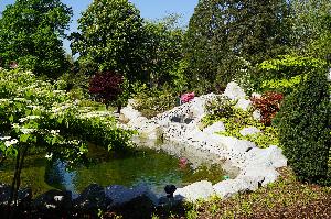Führungen durch den Japanischen Garten in Bad Krozingen